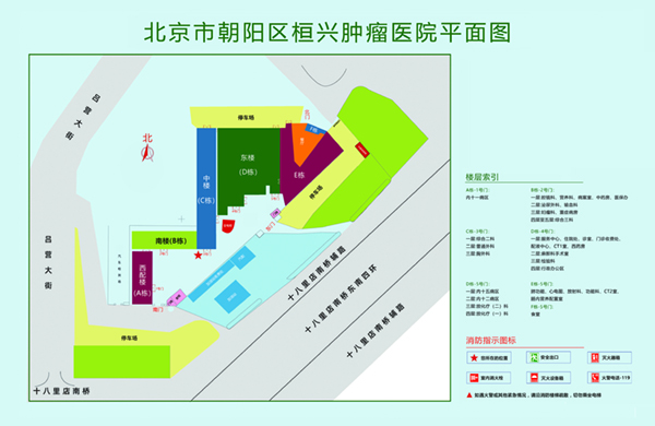 日本色色色色操我北京市朝阳区桓兴肿瘤医院平面图